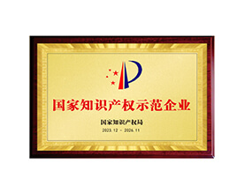 國(guó)家知識(shí)產(chǎn)權(quán)示范企業(yè)